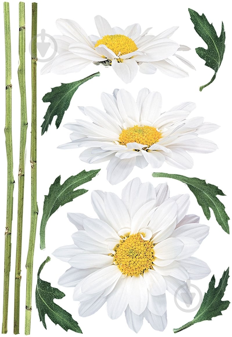 Декоративная наклейка Ромашки - фото 1