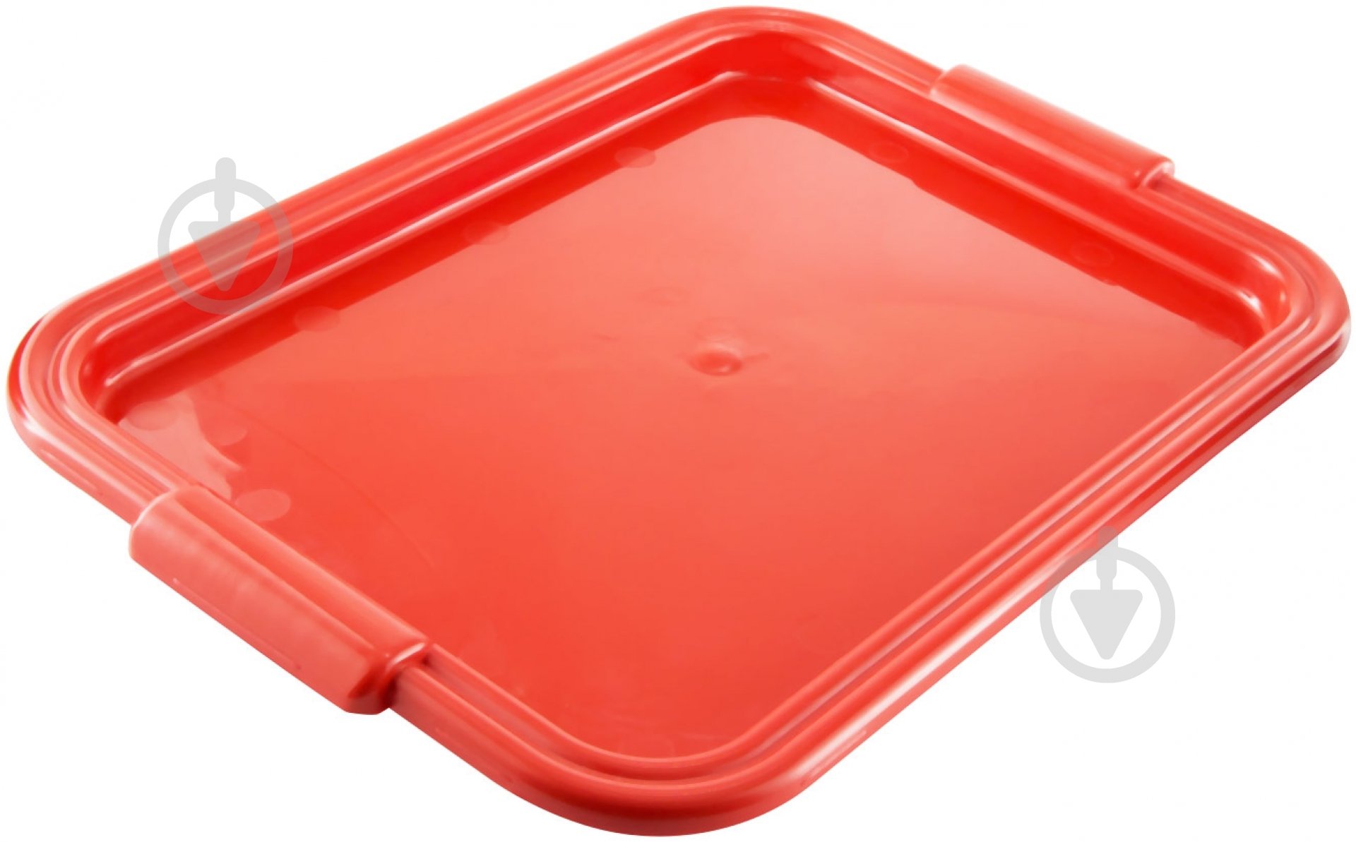 Поднос 47x32 см 21154 - фото 1