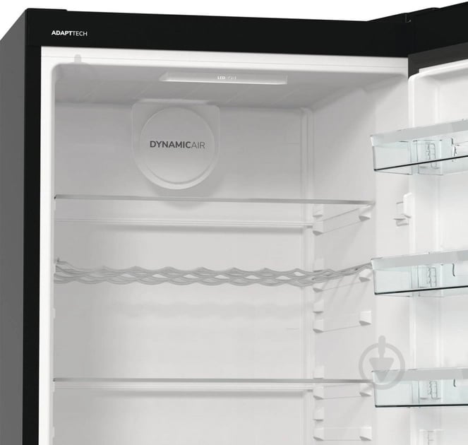 Холодильник Gorenje R619EABK6 - фото 11