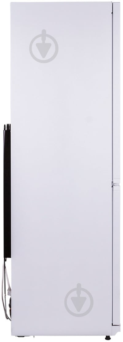 Холодильник Snaige RF31NG-Z10021 белый - фото 4