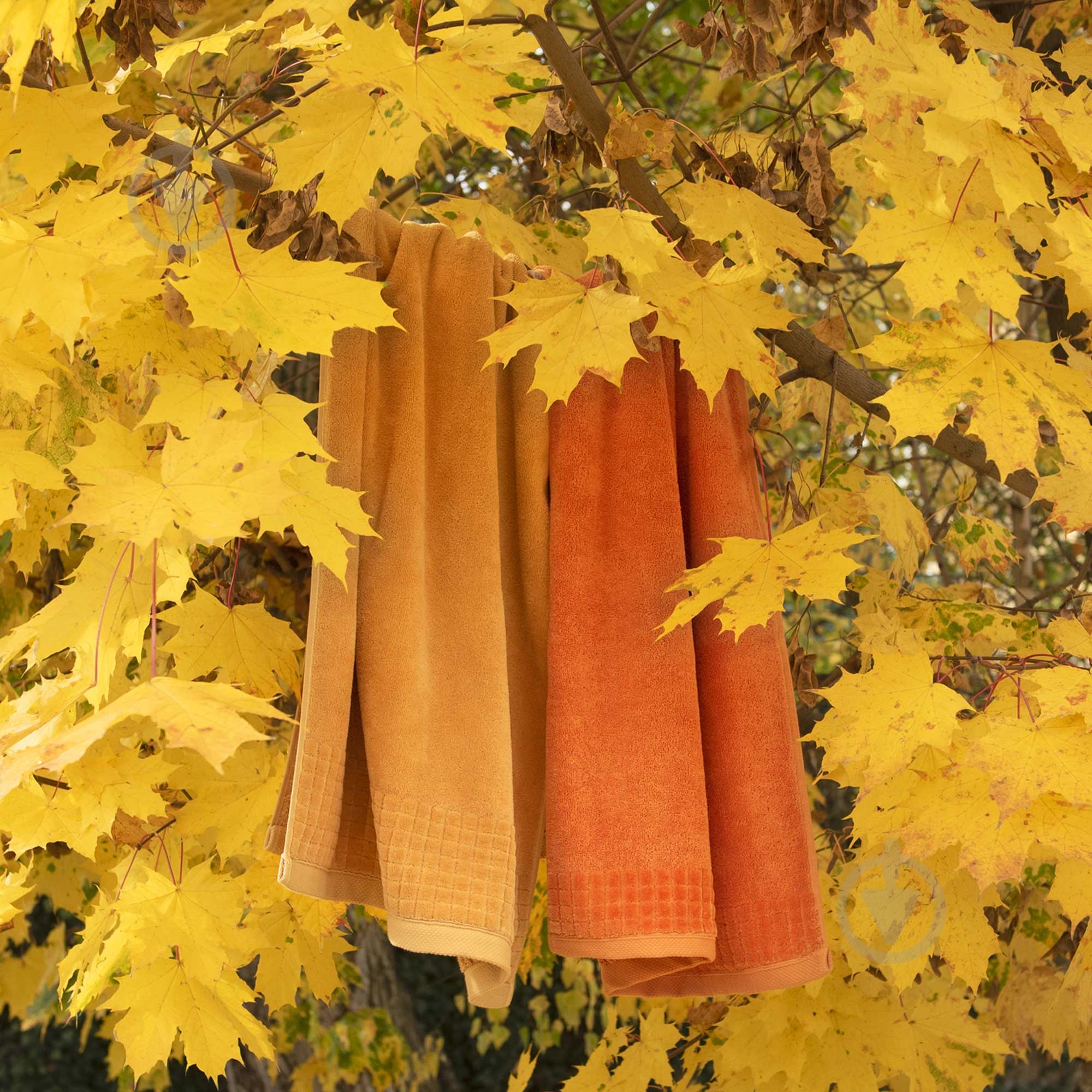 Полотенце махровое Paulo 70x140 см оранжевый Zwoltex - фото 6 Полотенце махровое Paulo 70x140 см оранжевый Zwoltex - фото 6