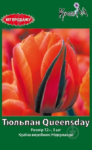 Луковица тюльпана Queensday 3 шт. - фото 1 Луковица тюльпана Queensday 3 шт. - фото 1