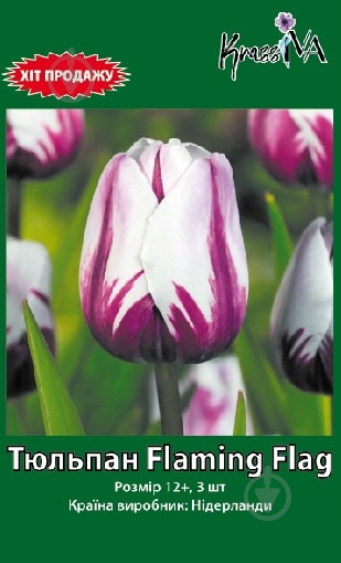 Луковица тюльпана Flaming Flag 3 шт. - фото 1