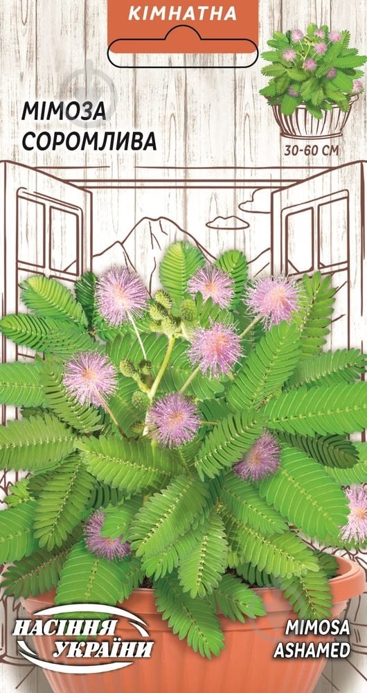 Семена Мимоза Стыдливая - фото 1