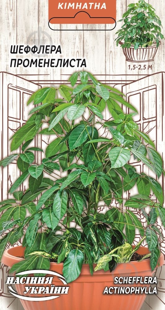 Семена Шефлера Лучелистная - фото 1