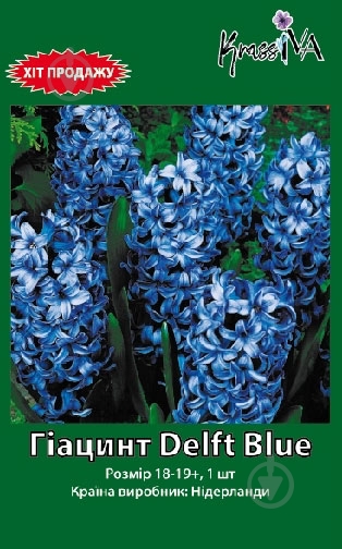 Цибулина гіацинта Delft Blue 1 шт. - фото 1