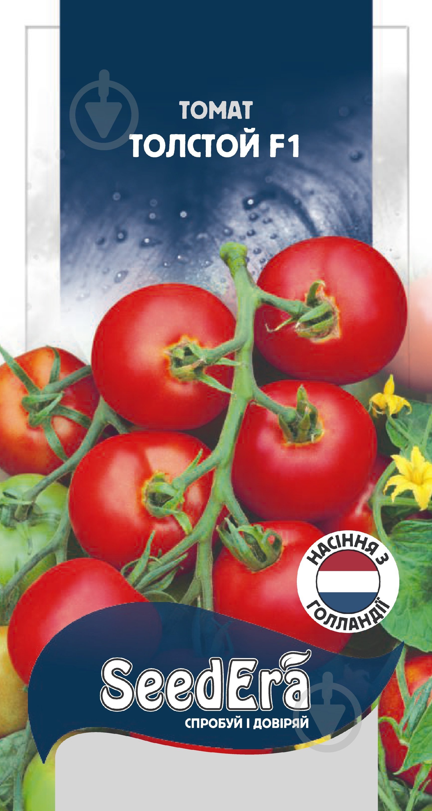Семена SeedEra томат Толстой F1 10 шт. (4823073726723) - фото 3
