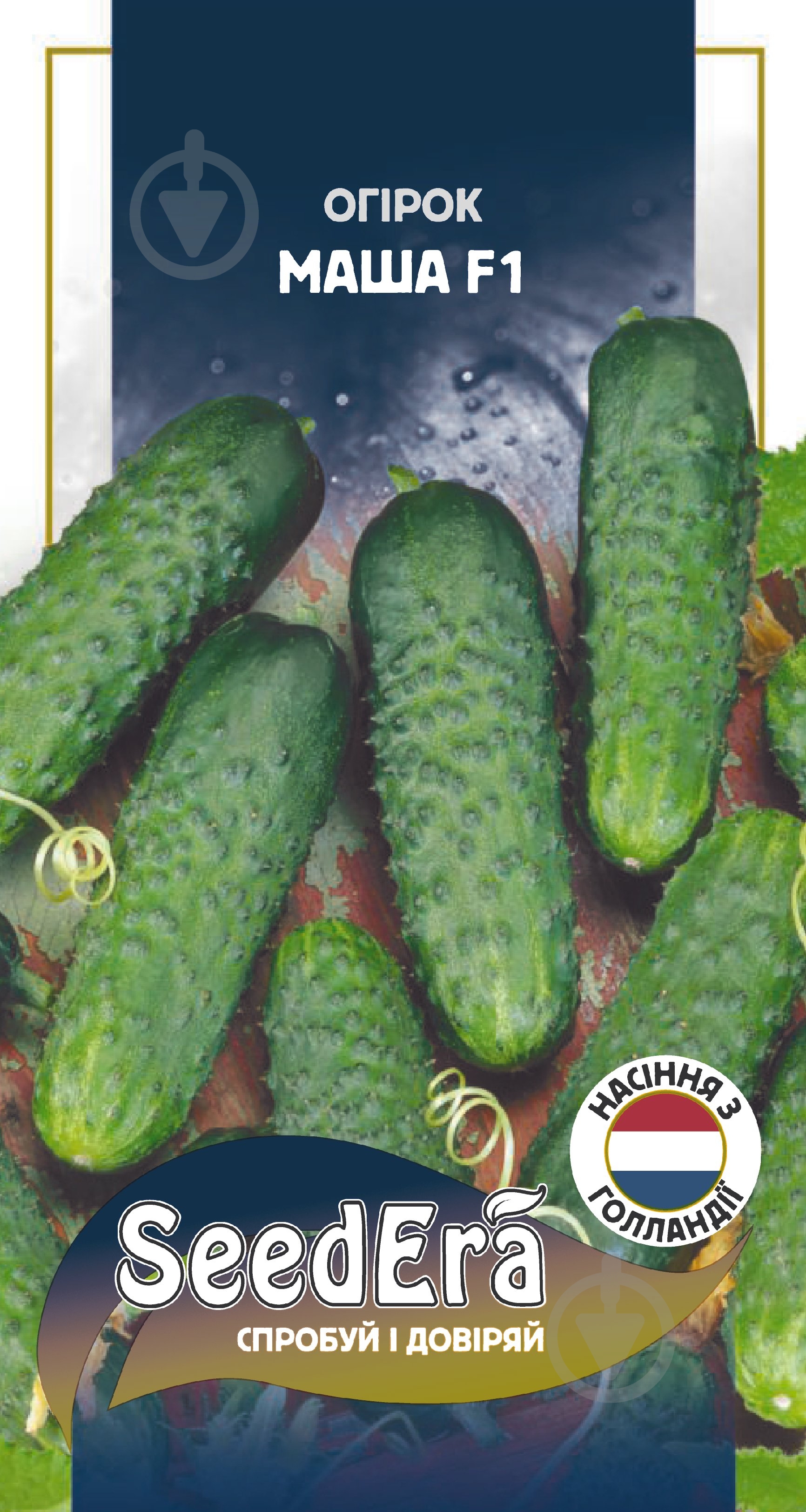 Семена SeedEra огурец Маша F1 10 шт. (4823073726655) - фото 1