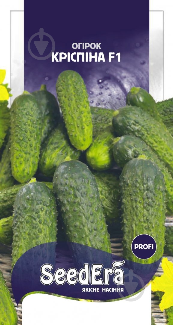 Семена огурец Криспина F1 10 шт. SeedEra - фото 2