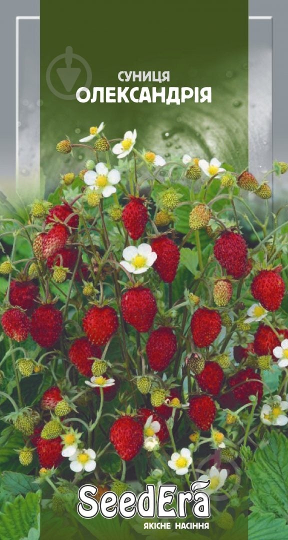 Насіння суниця Олександрія 0,05 г SeedEra - фото 1