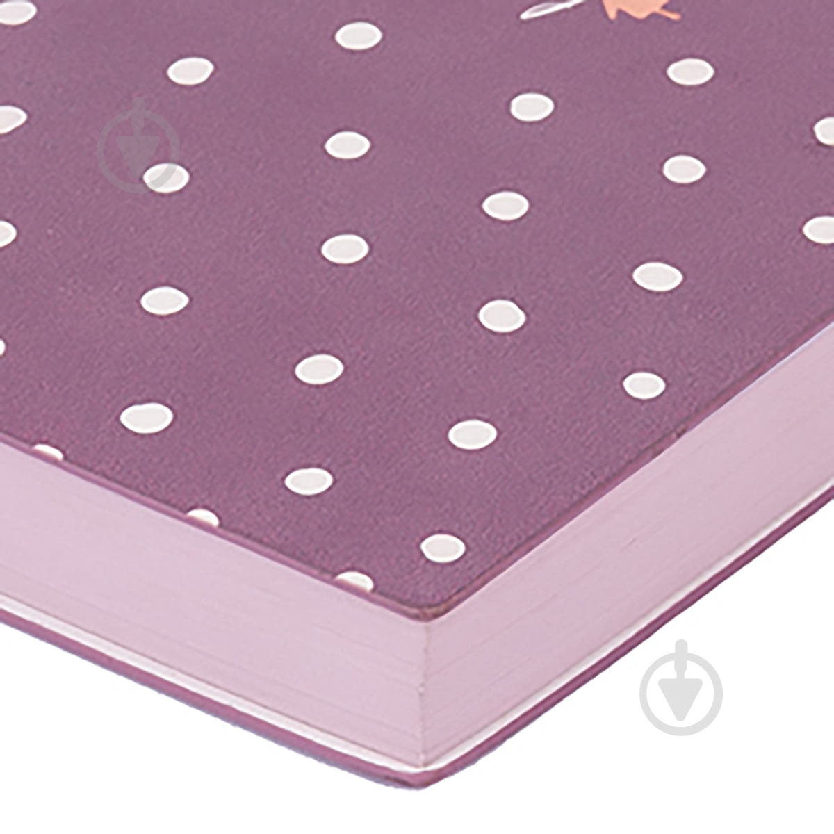 Щоденник датований кавовий Leo Planner Judith A6 2022 - фото 3