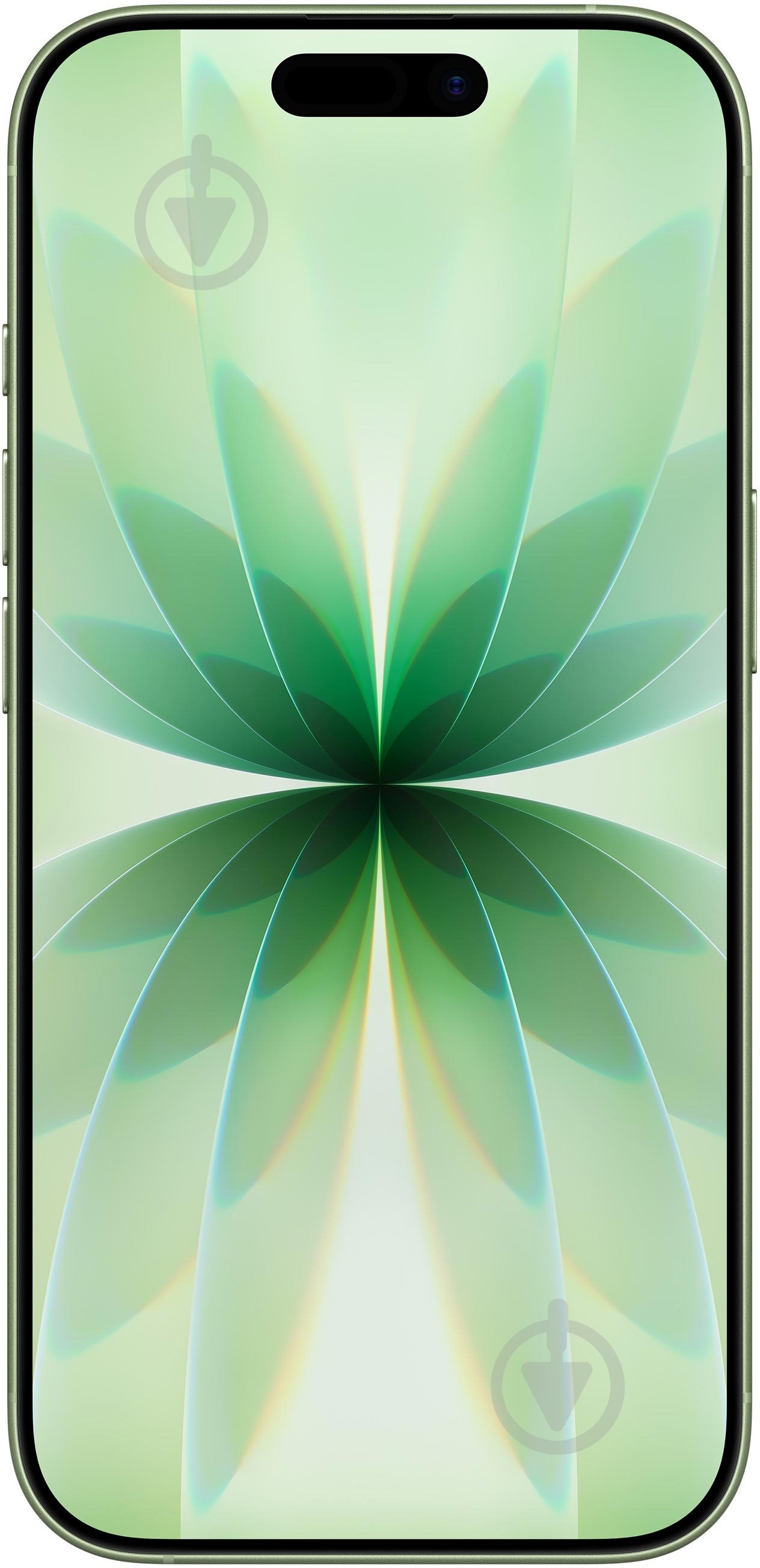 Смартфон Apple iPhone 17 256GB sage (MG6N4AF/A) - фото 2