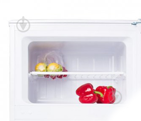 Холодильник PRIME Technics RTS 1301 M - фото 3 Холодильник PRIME Technics RTS 1301 M - фото 3