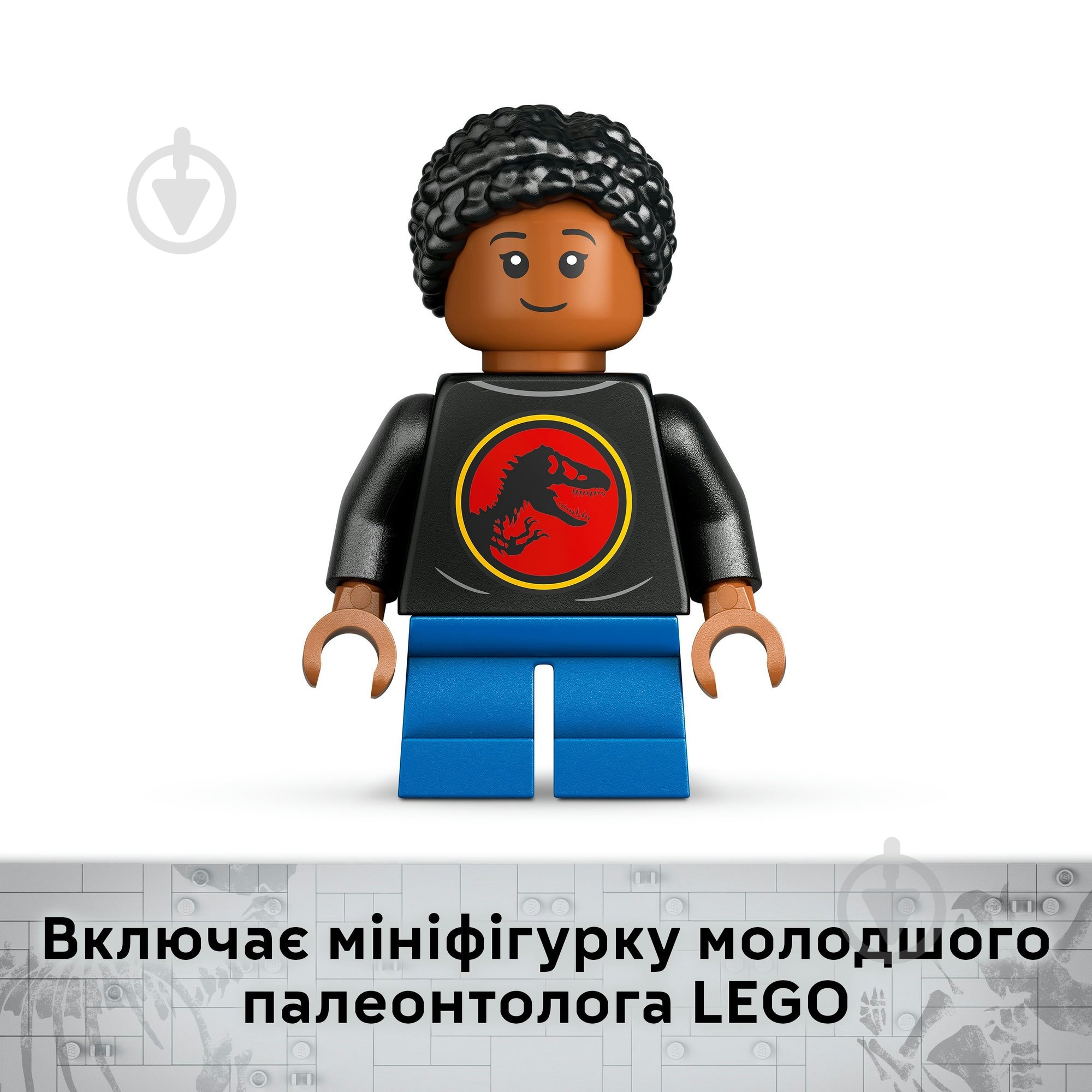 Конструктор LEGO Jurassic World Скам'янілості динозаврів: череп трицератопса 76969 - фото 7