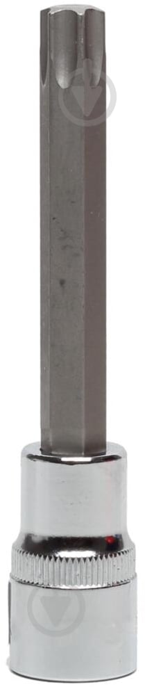 Головка-бита Proline удлиненная Torx 1/2 T40 L100 мм 1 шт. 58537 - фото 1 Головка-бита Proline удлиненная Torx 1/2 T40 L100 мм 1 шт. 58537 - фото 1