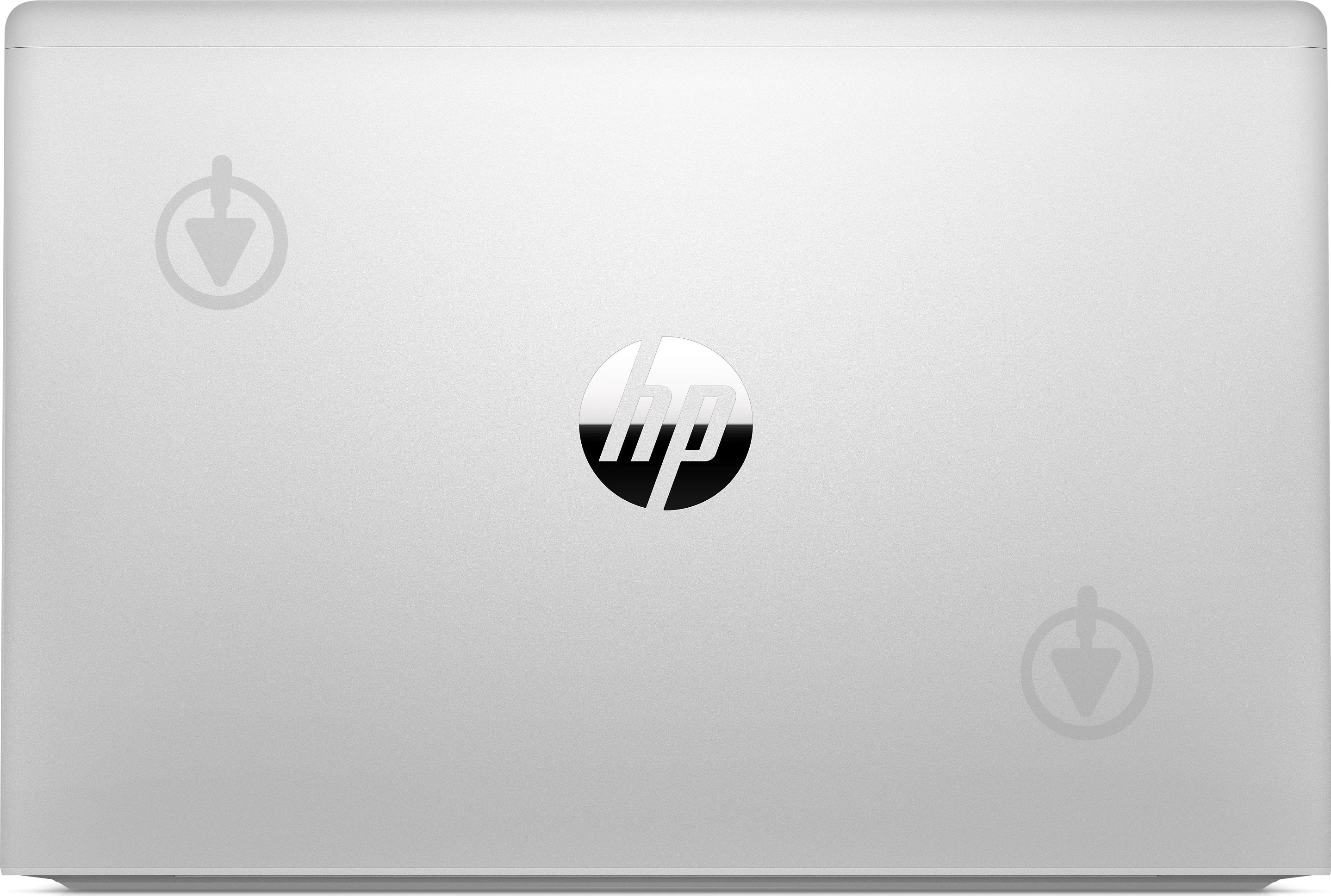 Ноутбук HP ProBook 445 G8 14" (2U741AV_V4) pike silver - фото 7