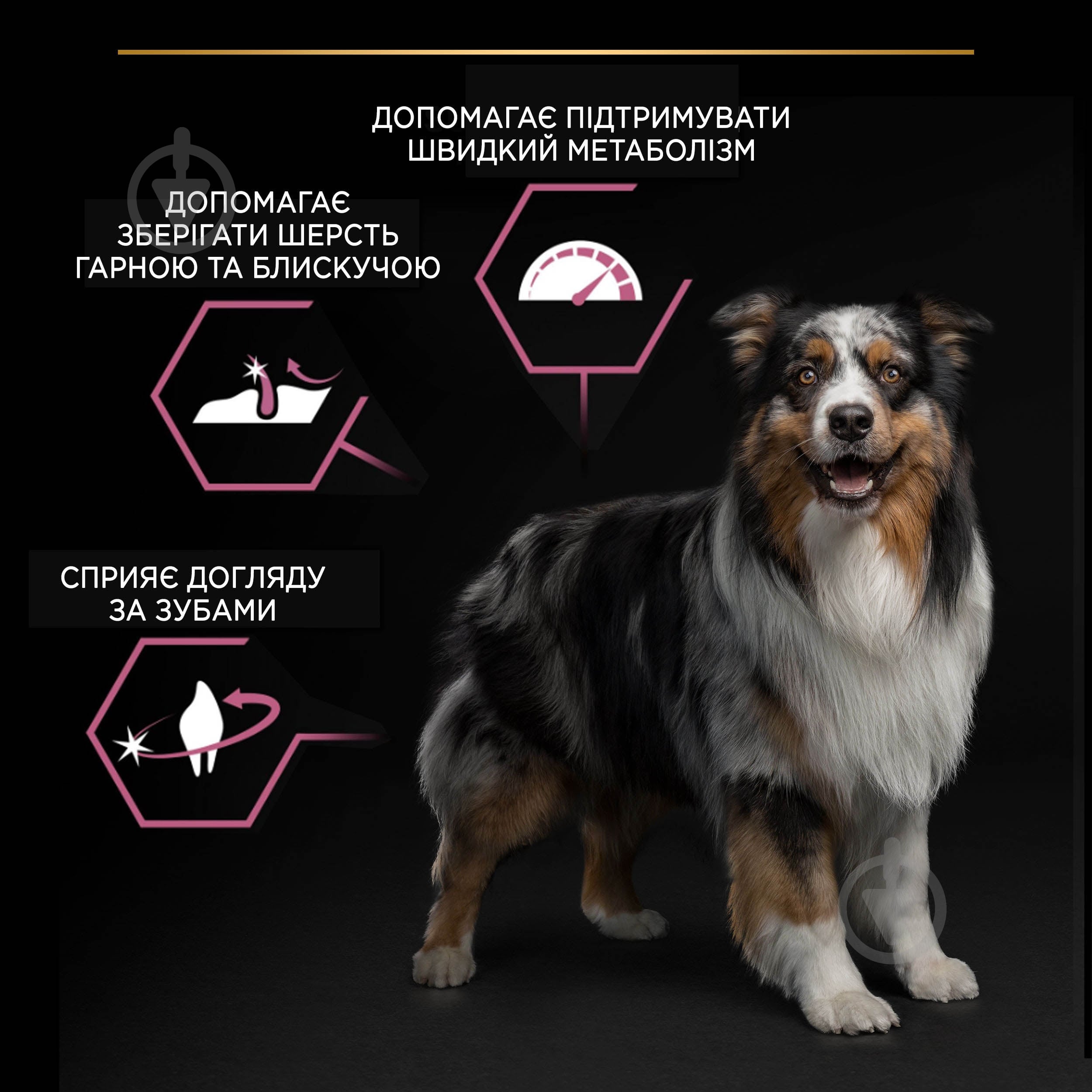 Корм сухой ProPlan by Purina Medium Adult 1+ Sensitive Skin для взрослых собак с чувствительной кожей с лососем 14 кг - фото 6