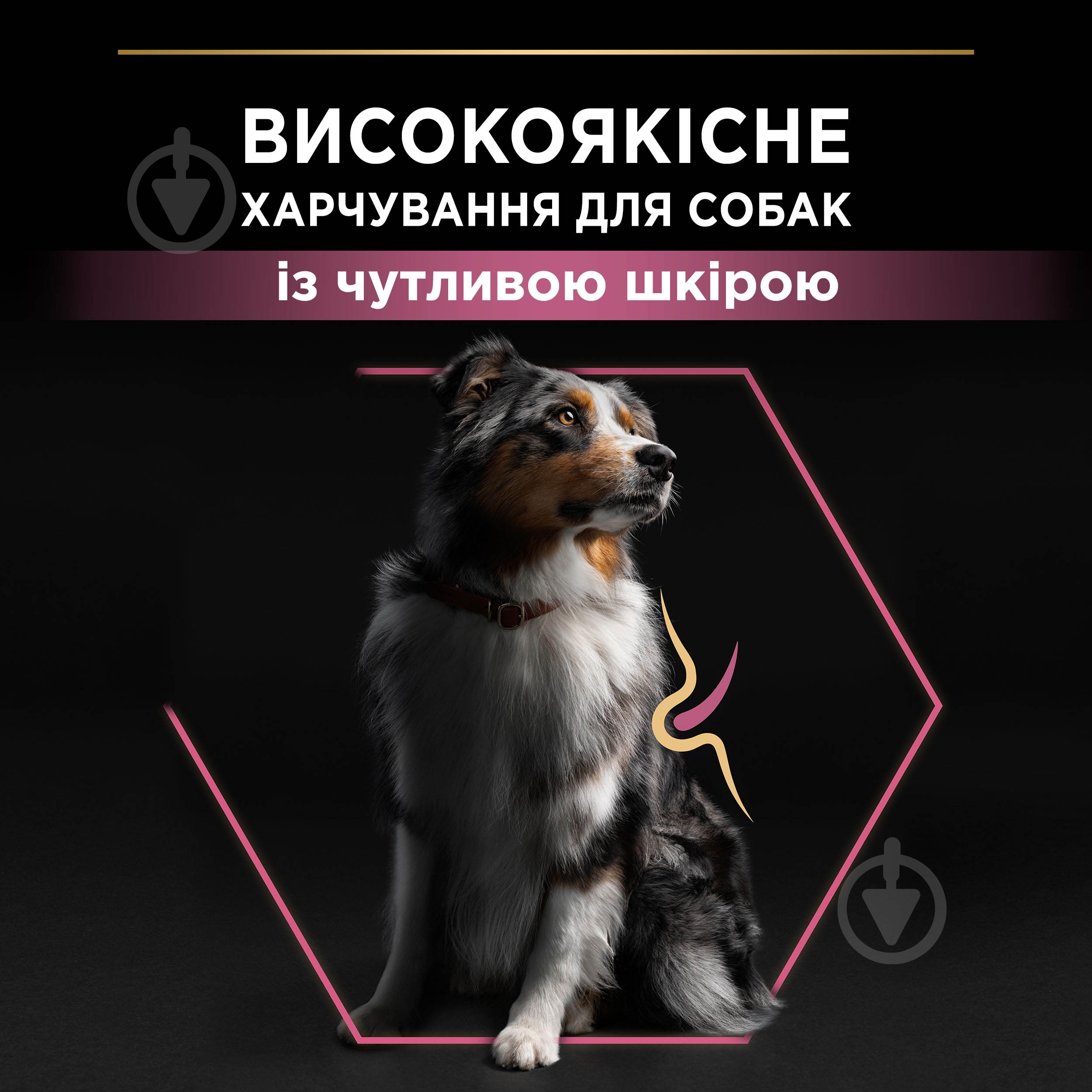 Корм сухой ProPlan by Purina Medium Adult 1+ Sensitive Skin для взрослых собак с чувствительной кожей с лососем 14 кг - фото 5