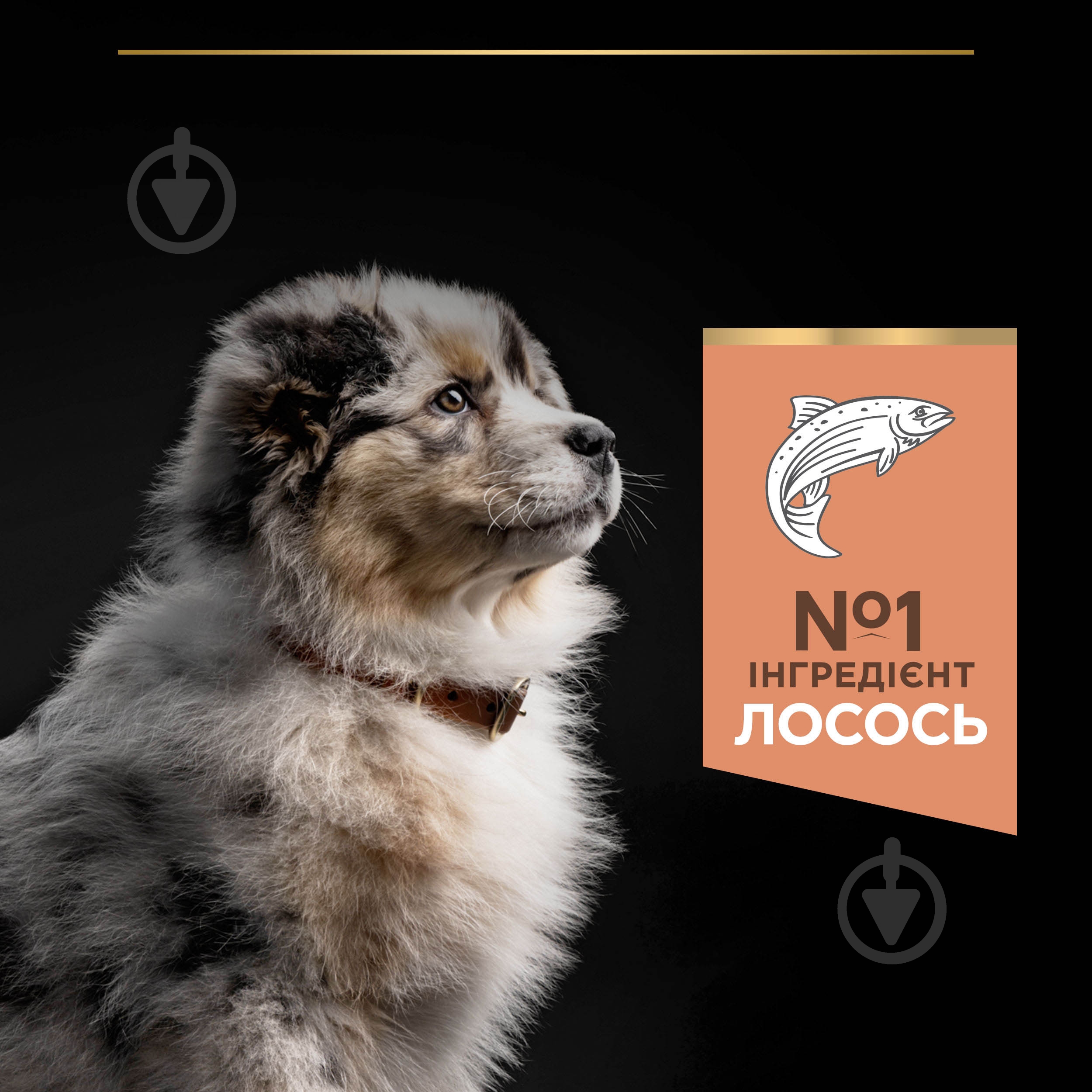 Корм сухой ProPlan by Purina Medium Puppy <1 Sensitive Skin для щенков с чувствительной кожей с лососем 12 кг - фото 8