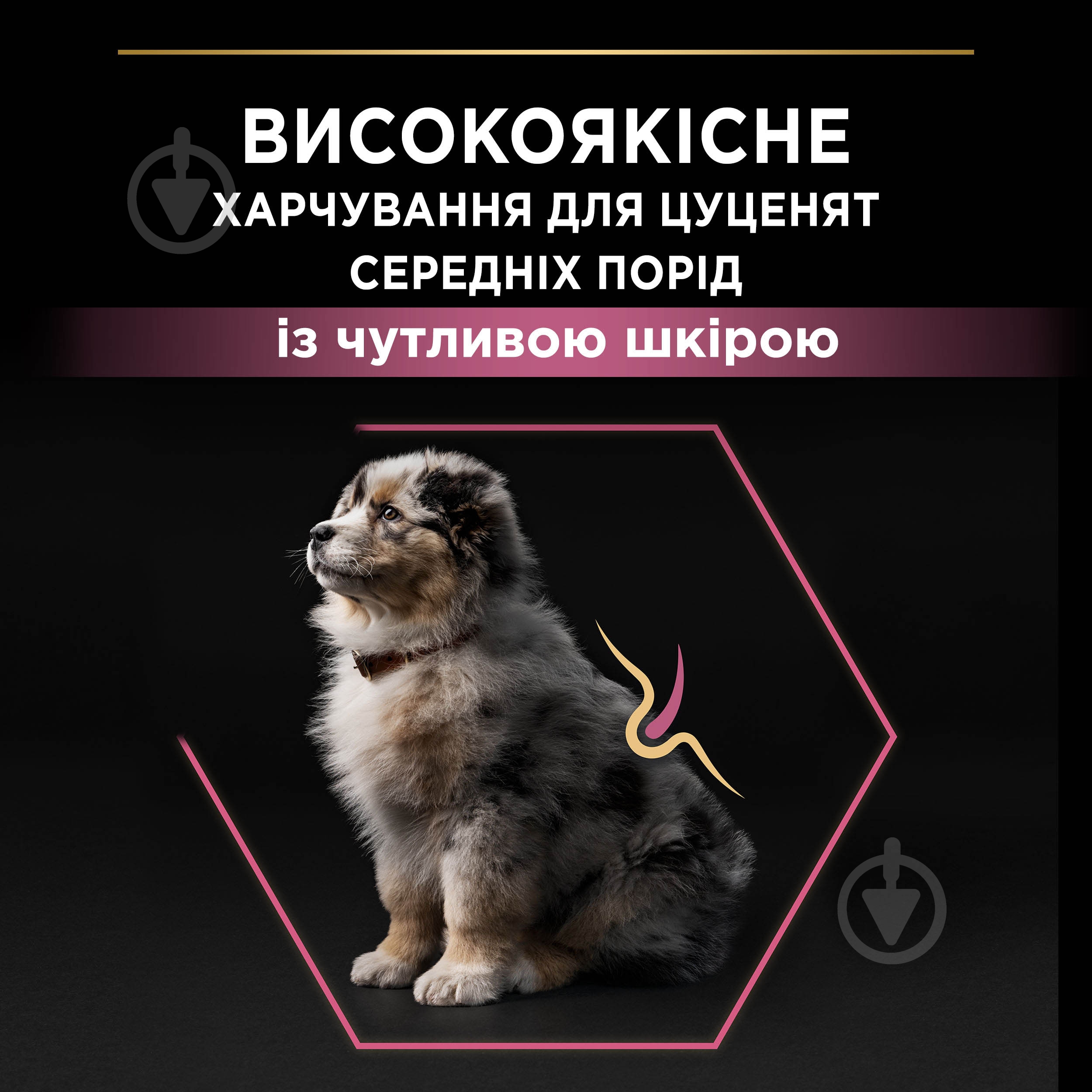 Корм сухой ProPlan by Purina Medium Puppy <1 Sensitive Skin для щенков с чувствительной кожей с лососем 12 кг - фото 6