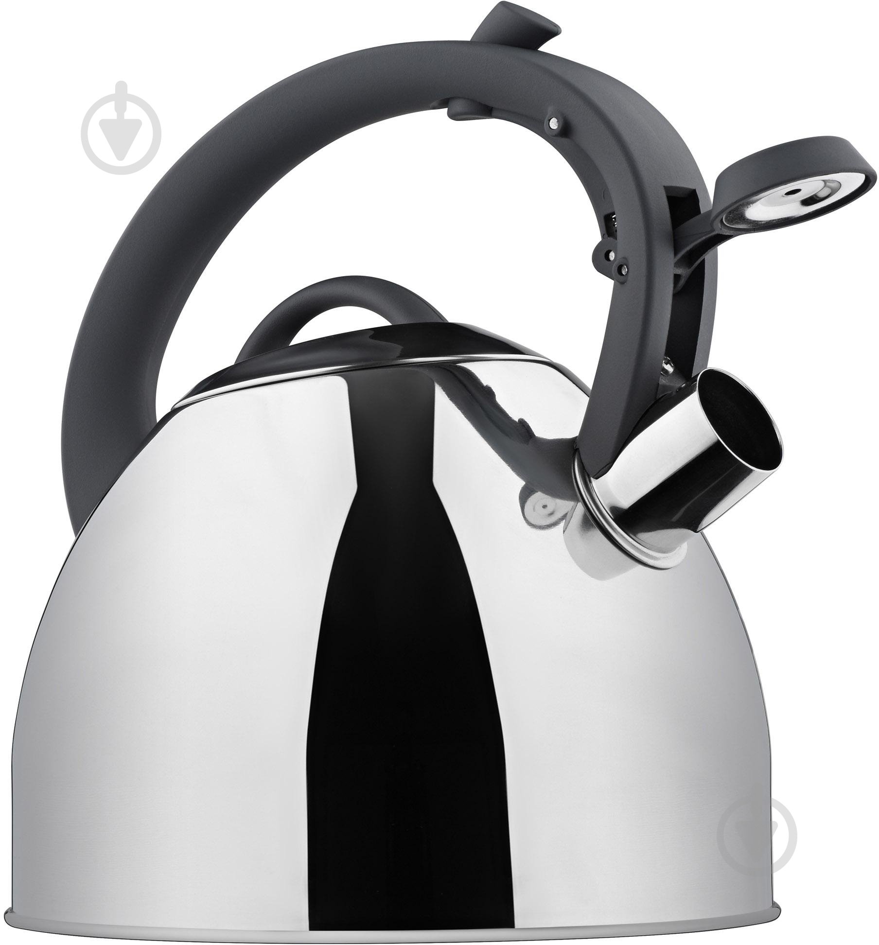 Чайник Ardesto Black Mars 2,5л нержавеющая сталь AR1947KS - фото 2