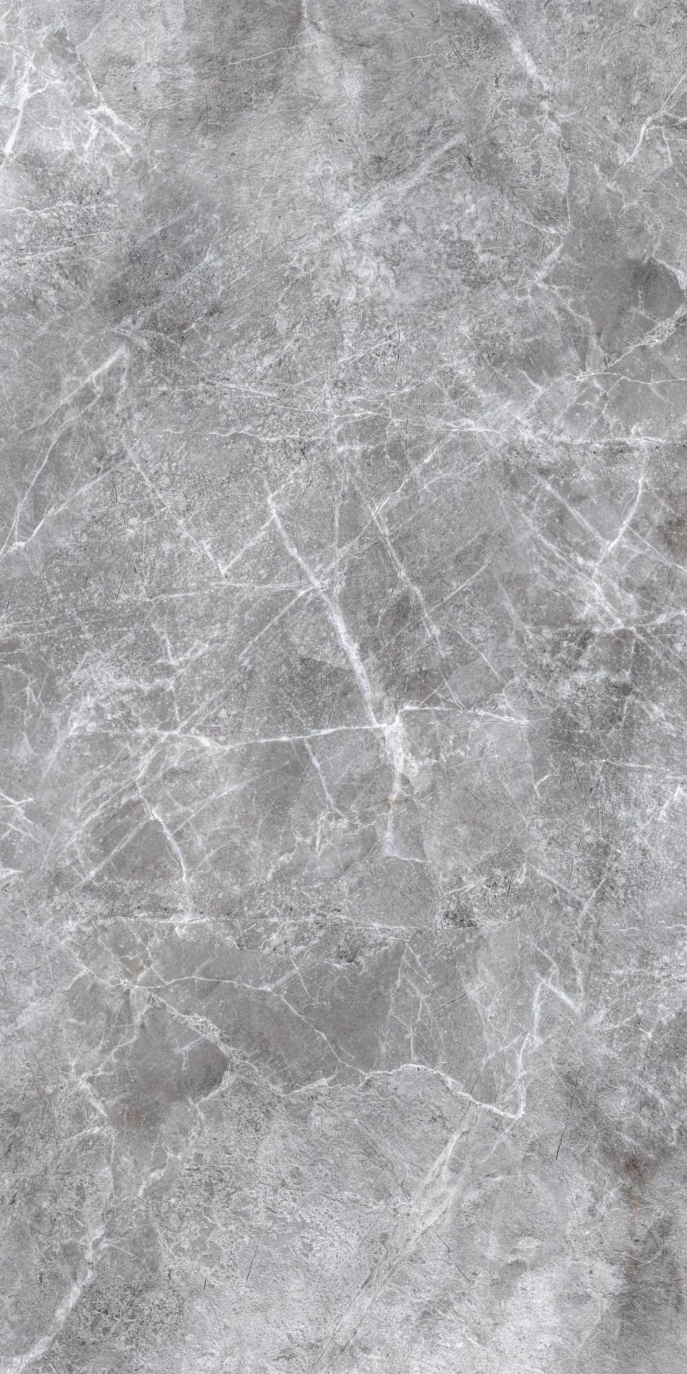 Плитка Allore Group Moon Silver F P R Full Lappato 60х120 см - фото 6