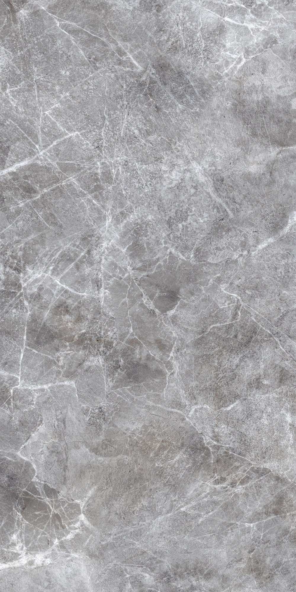 Плитка Allore Group Moon Silver F P R Full Lappato 60х120 см - фото 3