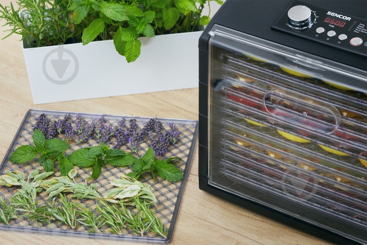 Сушилка Sencor SFD 6600BK - фото 14