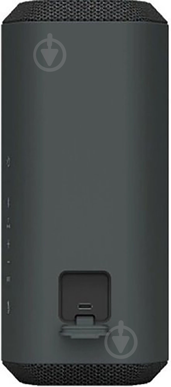 Акустическая система Sony SRS-XE300 2.0 black (SRSXE300B.RU2) - фото 3