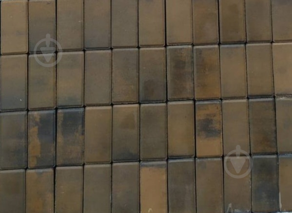 Тротуарная плитка TAMARIN Кирпичик 200х100х60 олива - фото 1 Тротуарная плитка TAMARIN Кирпичик 200х100х60 олива - фото 1