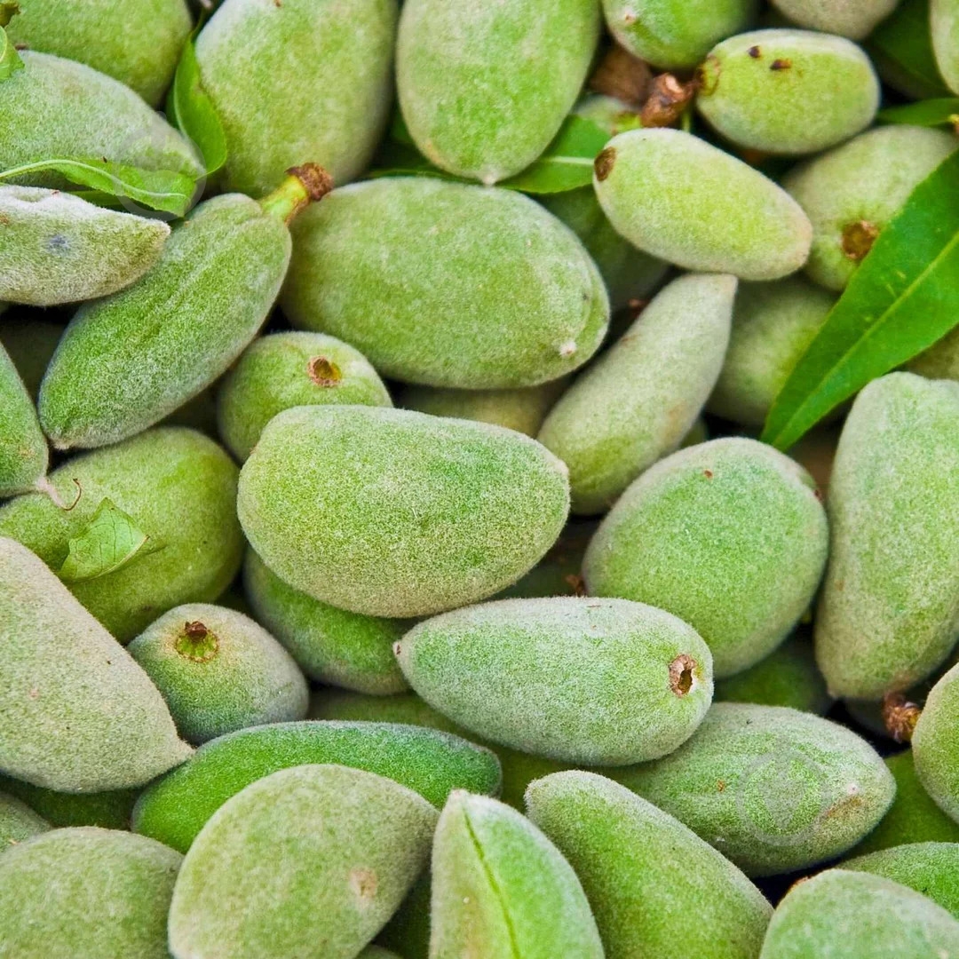 Мыло Le Petit Olivier Масло миндаля 250 г - фото 5