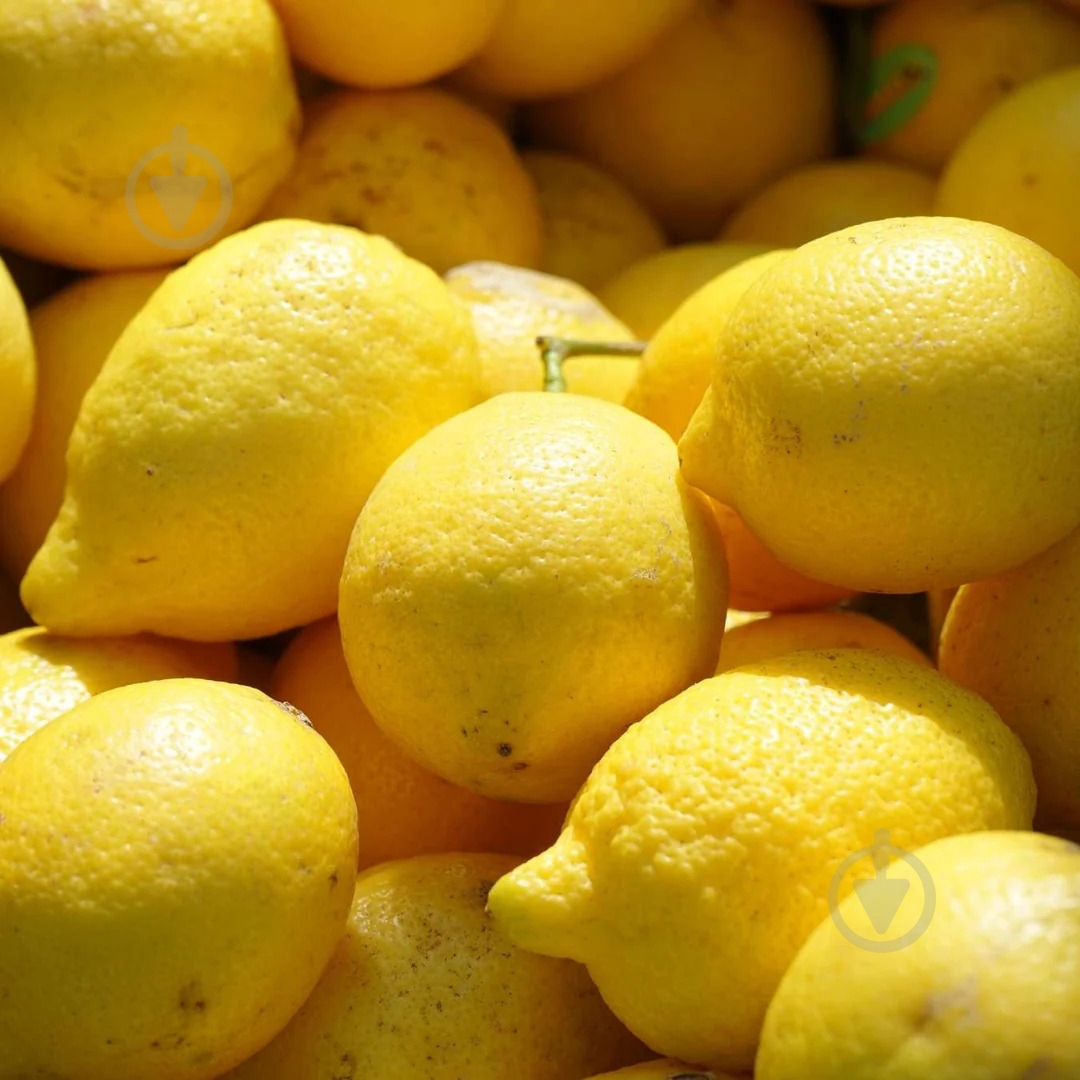 Мыло жидкое Le Petit Olivier Вербена 300 мл - фото 5