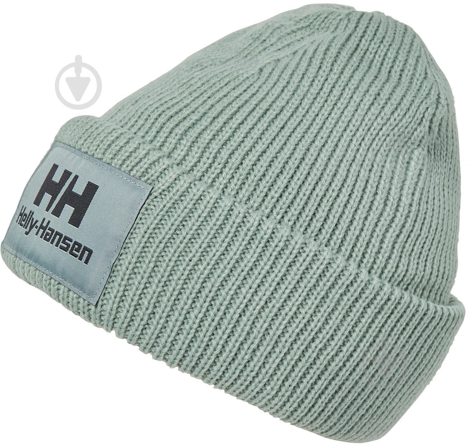 Шапка Helly Hansen Yu Beanie 53581_484 р.one size зеленый - фото 1