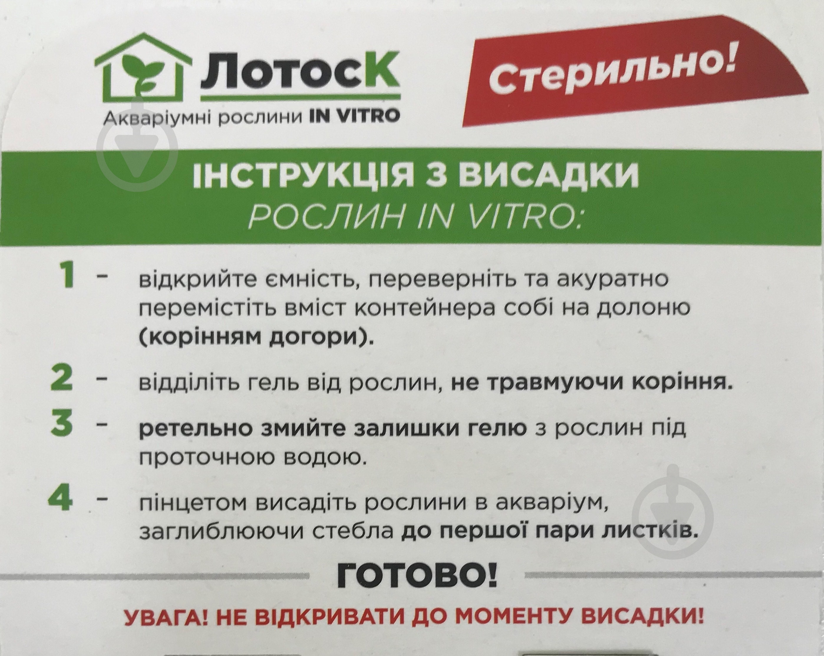 Растение аквариумное Лотос К Мох Стринги (Leptodictyum riparium in vitro ) - фото 4