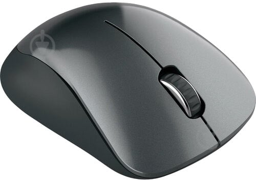 Мышка Canyon Wireless CNE-CMSW11B Black - фото 2