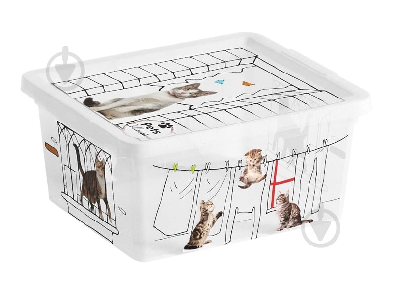Ящик для зберігання Curver 247176 різнокольоровий Pets Collectoin XXS 2 л різнокольоровий 100x200x170 мм - фото 1