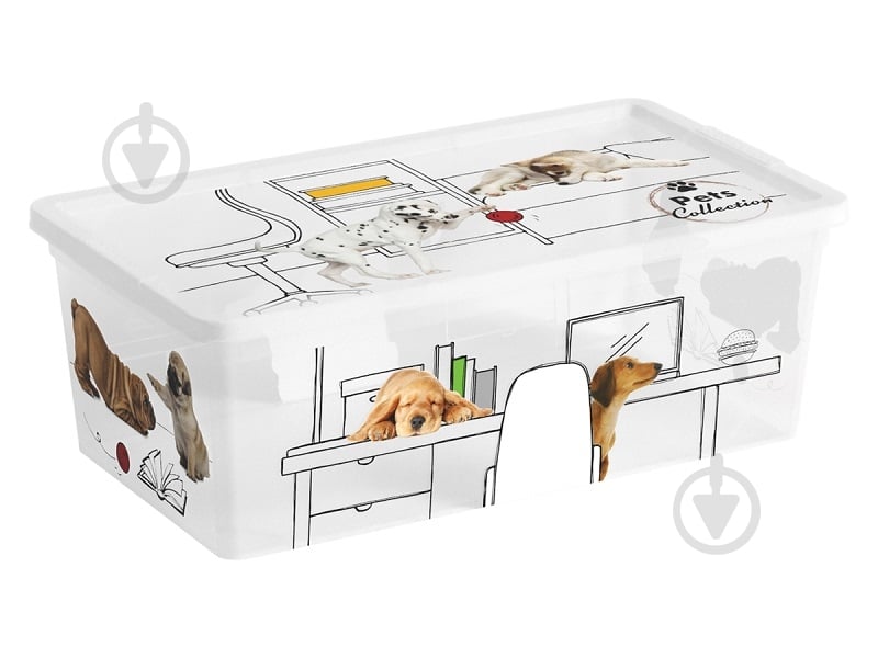 Ящик для хранения Curver 247177 разноцветный Pets Collectoin XS 6 л разноцветный 120x340x190 мм - фото 1