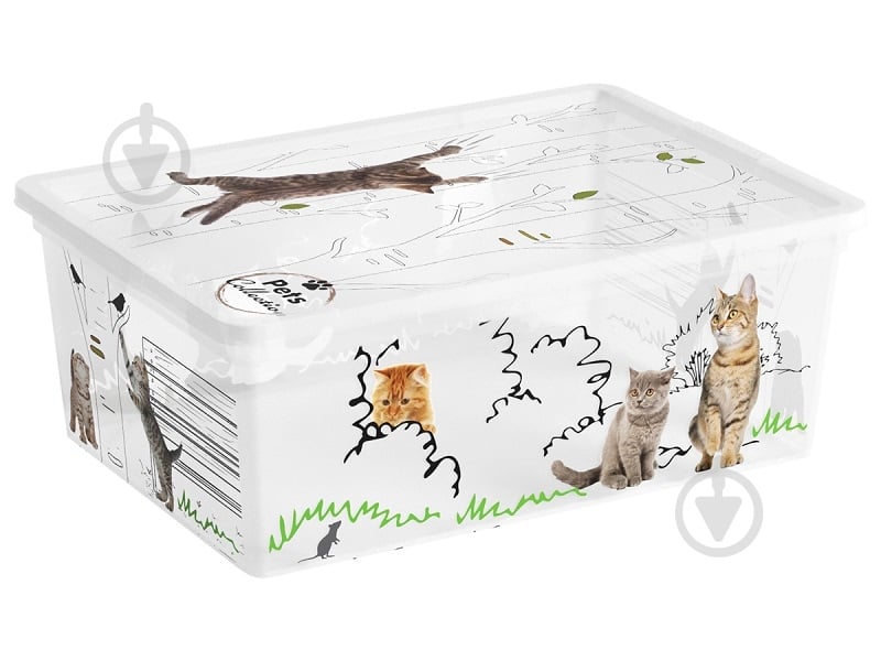 Ящик для зберігання Curver 247180 різнокольоровий Pets Collectoin S 11 л різнокольоровий 140x370x260 мм - фото 1