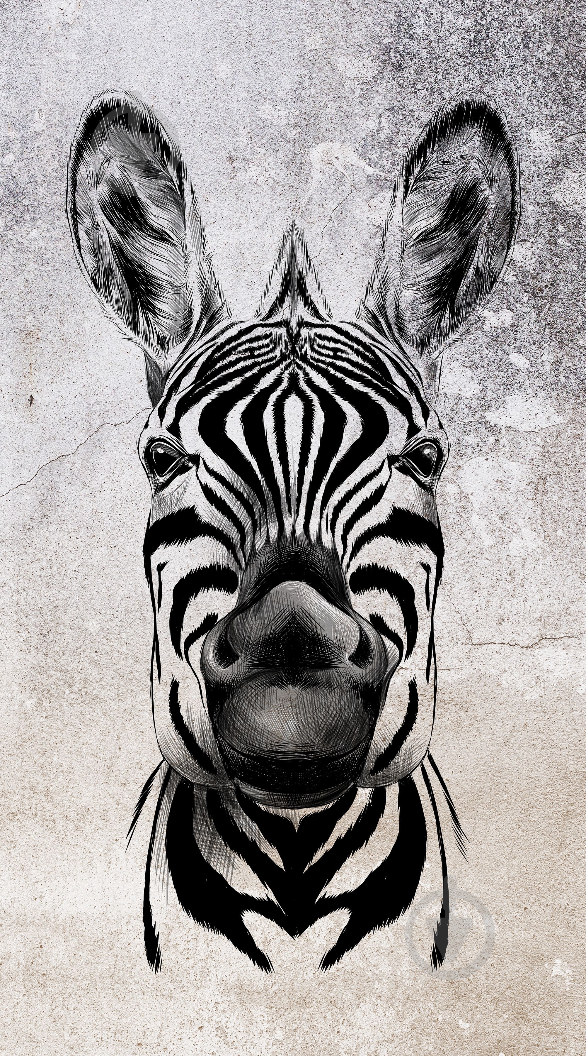 絵画 Zebrappy ᐉ Шпалери Erismann zoOom Cool Zebra 2516N81 2,7x1,5 см 4,05 кв.м