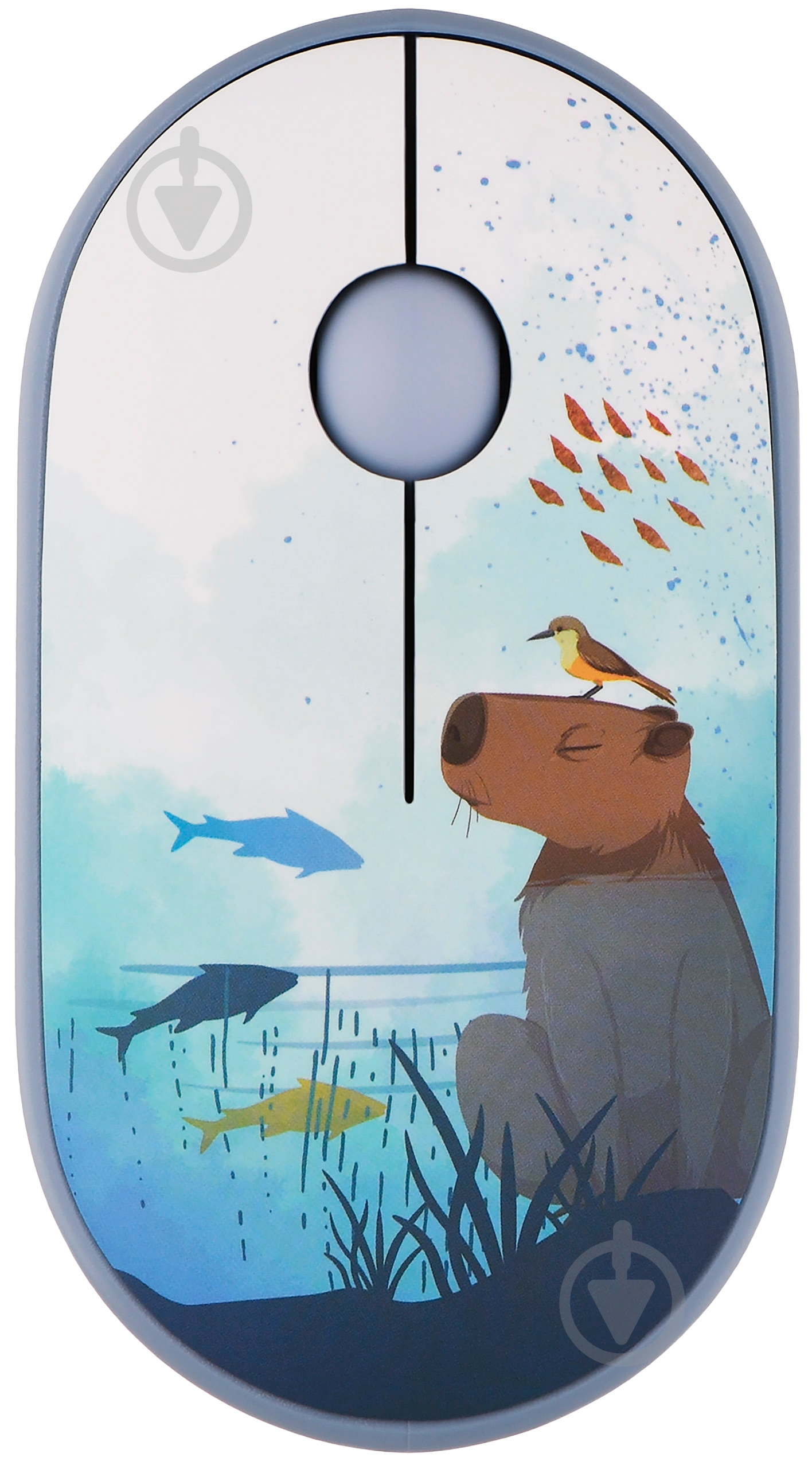 Мышка 2E MF300 Capybara Swim Silent WL BT blue (2E-MF300WCAPIBARABL) - фото 1 Мышка 2E MF300 Capybara Swim Silent WL BT blue (2E-MF300WCAPIBARABL) - фото 1