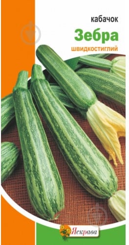 Семена Яскрава кабачок Зебра 3 г (4823069800284) - фото 1