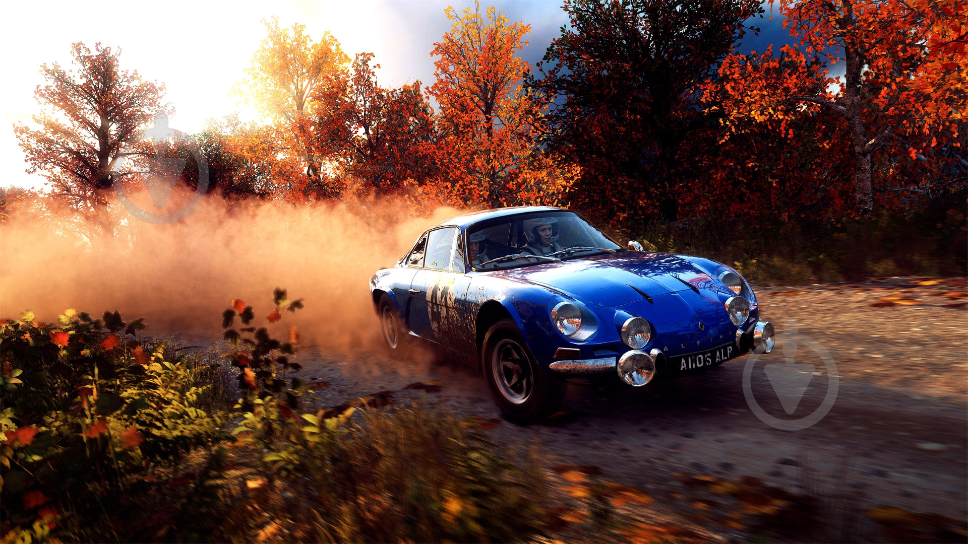 Игра Sony Dirt Rally 2.0 (PS4, английская версия) - фото 6