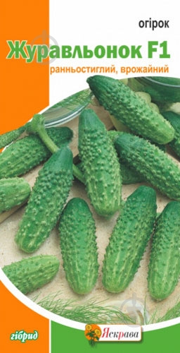 Семена Яскрава огурец Журавленок F1 0,5 г (4823069800918) - фото 1 Семена Яскрава огурец Журавленок F1 0,5 г (4823069800918) - фото 1