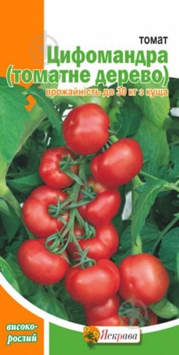 Семена Яскрава томат Цифомандра 0,1 г (4823069810399) - фото 1