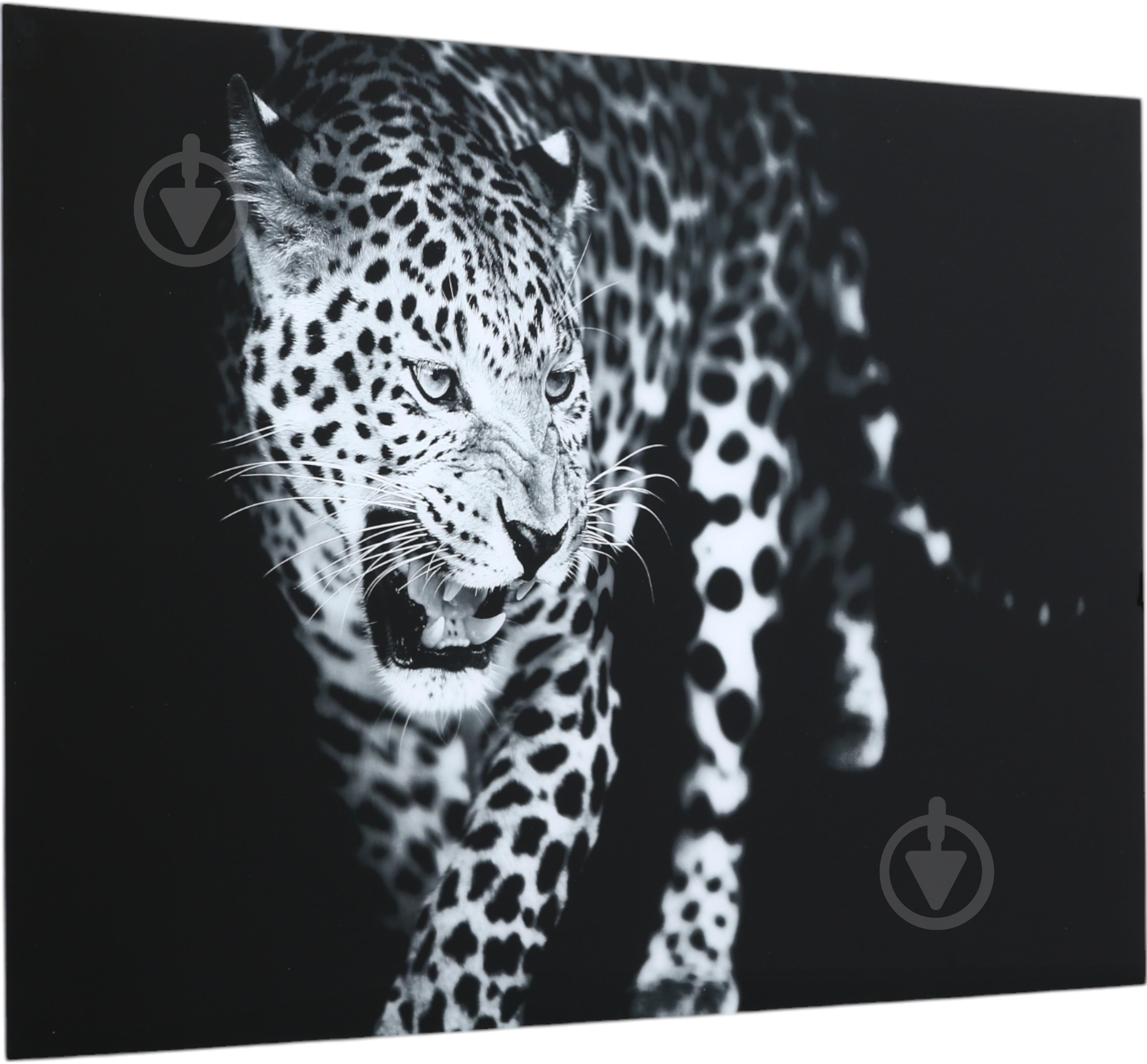 Картина Leopard стеклянная 70x100 см Styler GL-00216 - фото 2