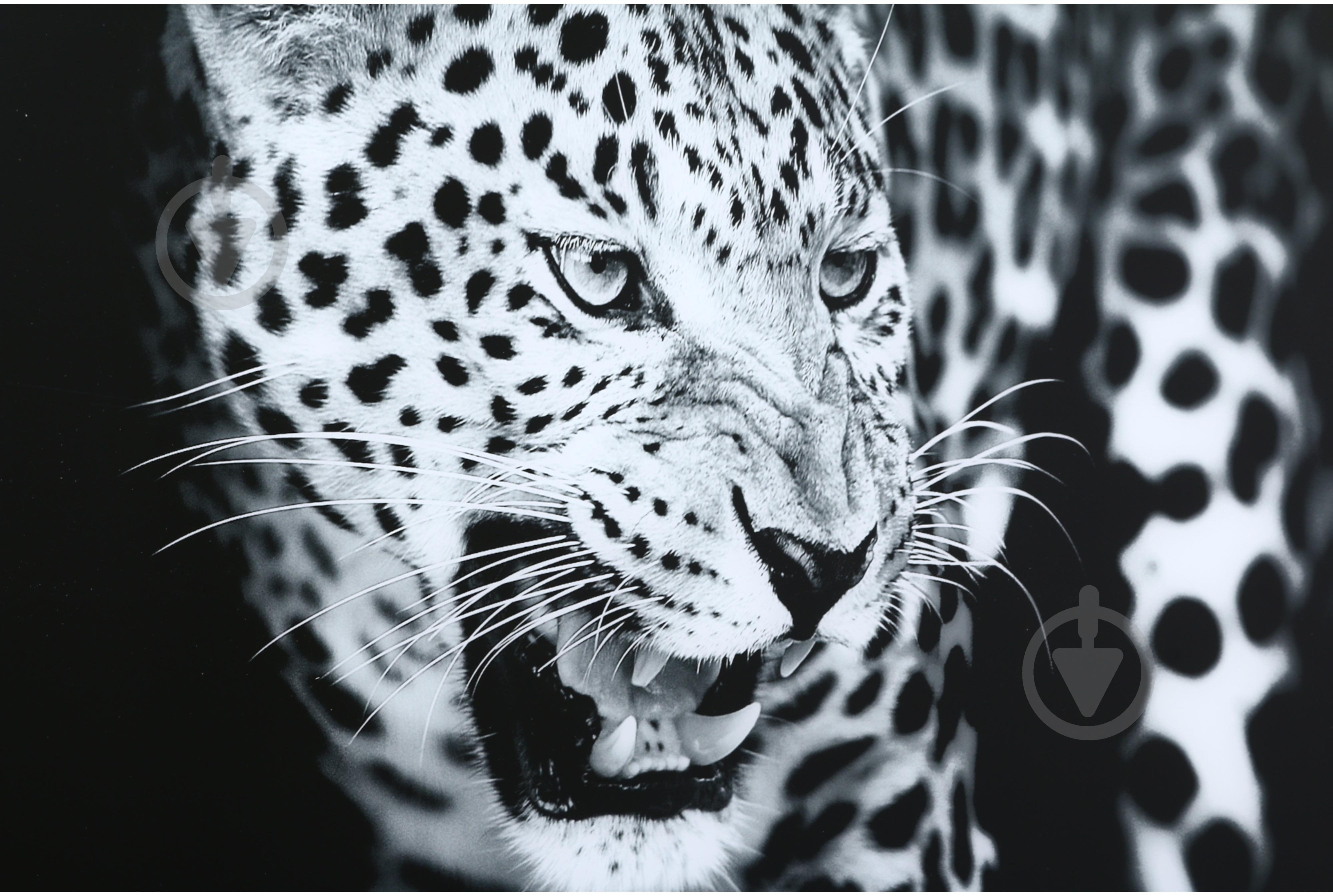 Картина Leopard стеклянная 70x100 см Styler GL-00216 - фото 3