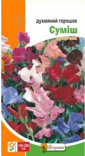 Семена перец Душистый горошек 1 г - фото 1