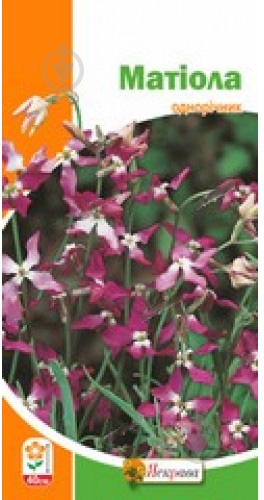 Насіння Яскрава матіола 1 г - фото 1