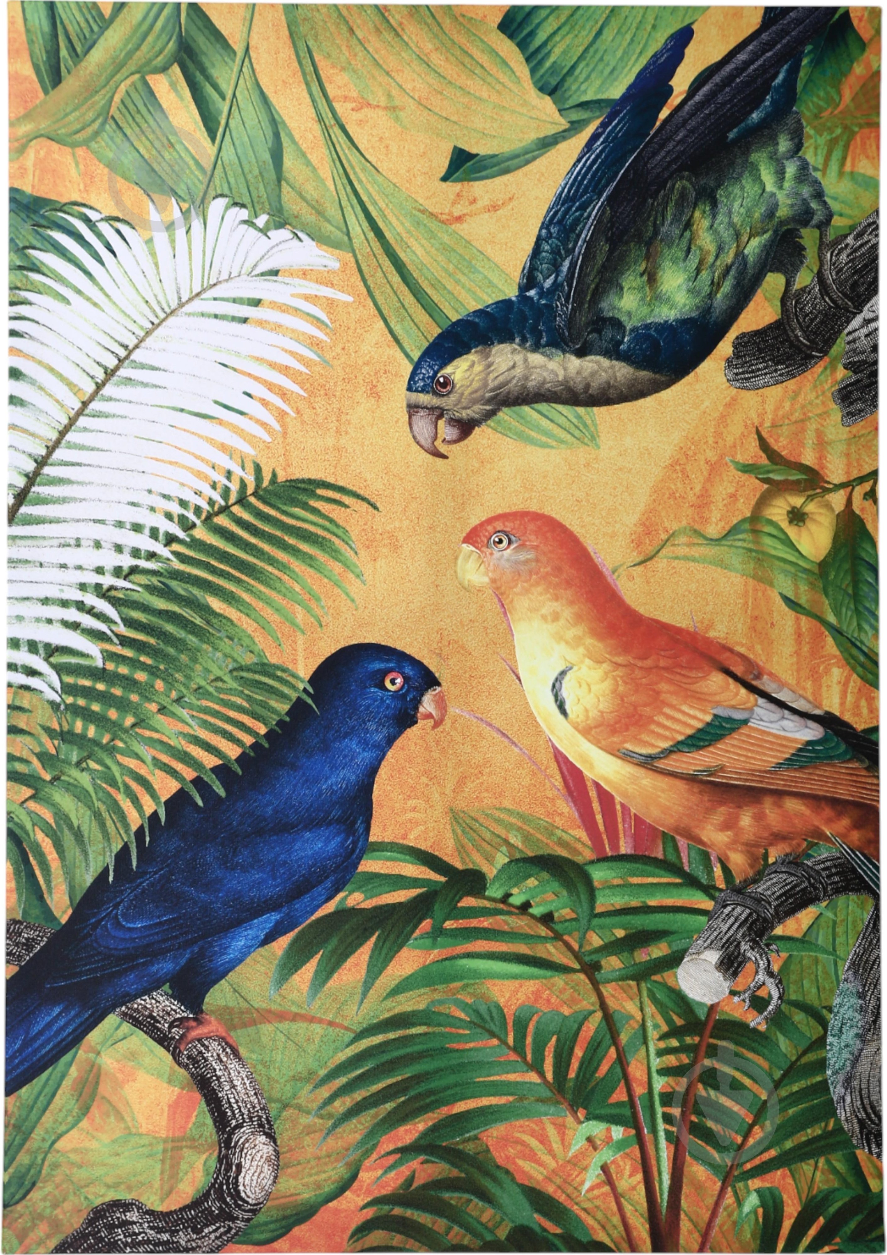 Картина Parrot 70x100 см Styler CA-18489 - фото 1 Картина Parrot 70x100 см Styler CA-18489 - фото 1