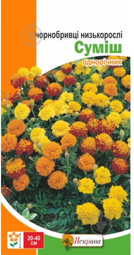 Семена Яскрава хоста Бархатцы Смесь - фото 1 Семена Яскрава хоста Бархатцы Смесь - фото 1